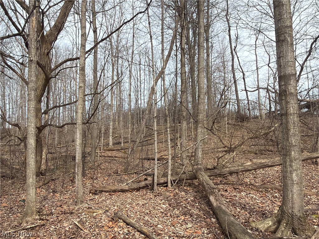 Us-20 Property Photo 37