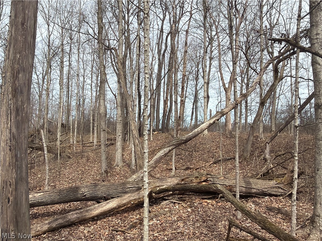 Us-20 Property Photo 39