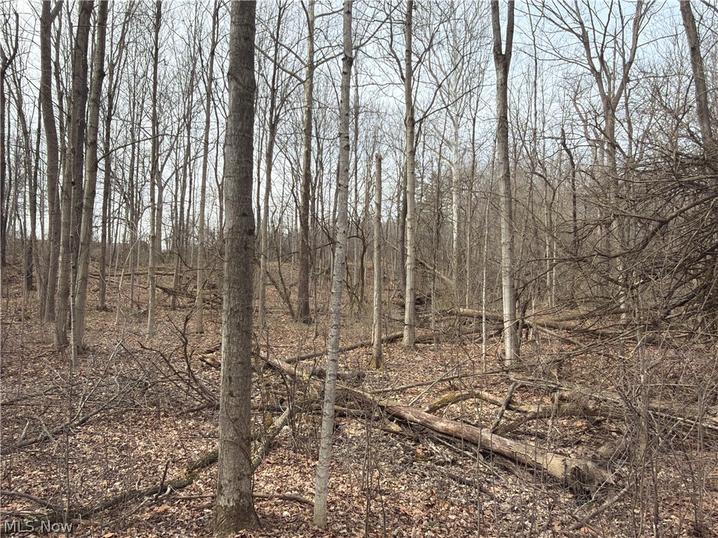 Us-20 Property Photo 40