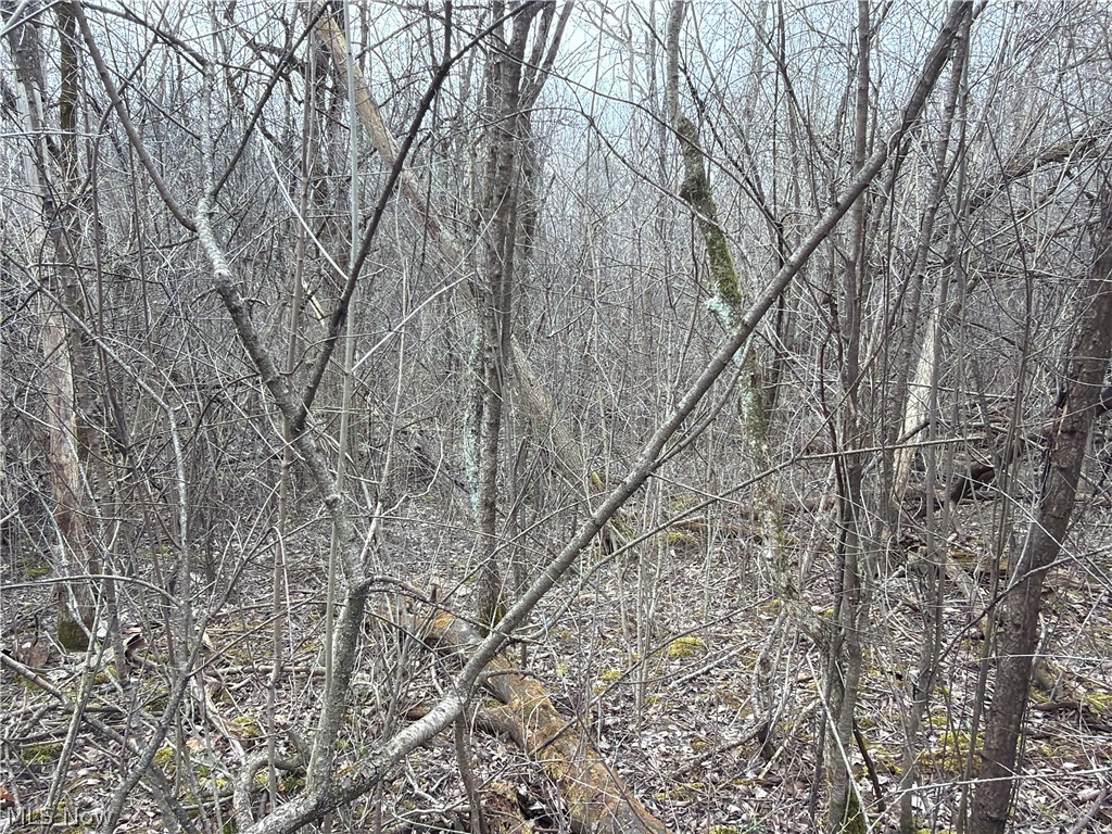 Us-20 Property Photo 41