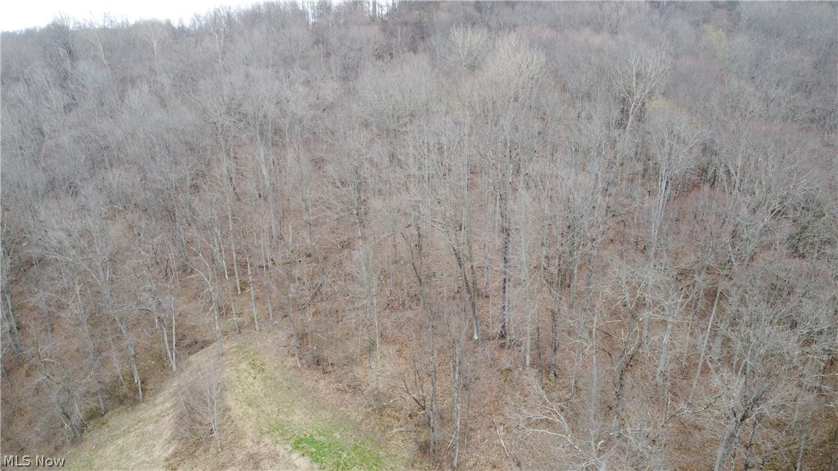 39460 Opossum Creek Road Property Photo 1