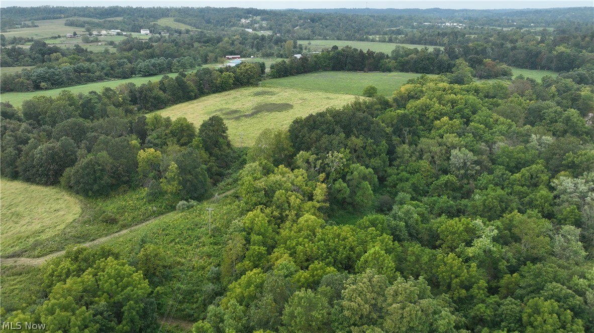 Lambert Property Photo 3