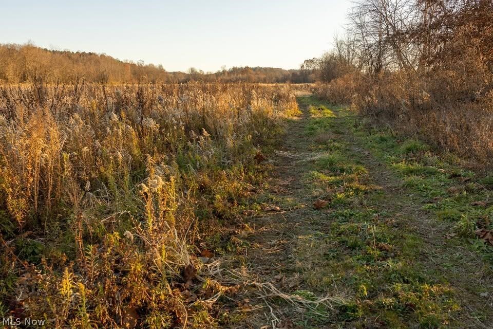 Lambert Property Photo 4