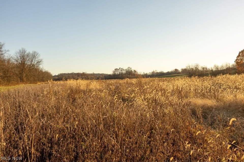 Lambert Property Photo 5