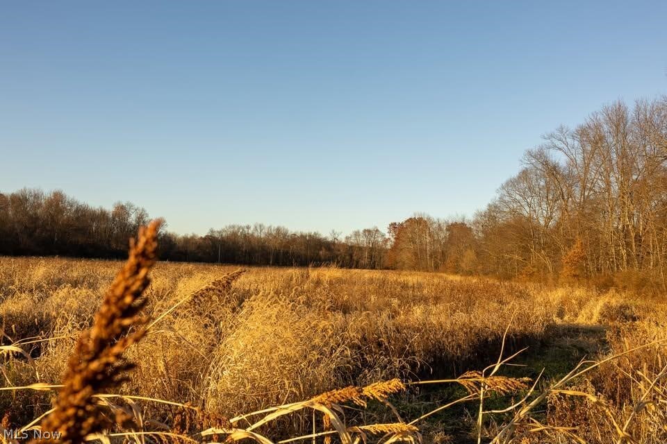 Lambert Property Photo 7
