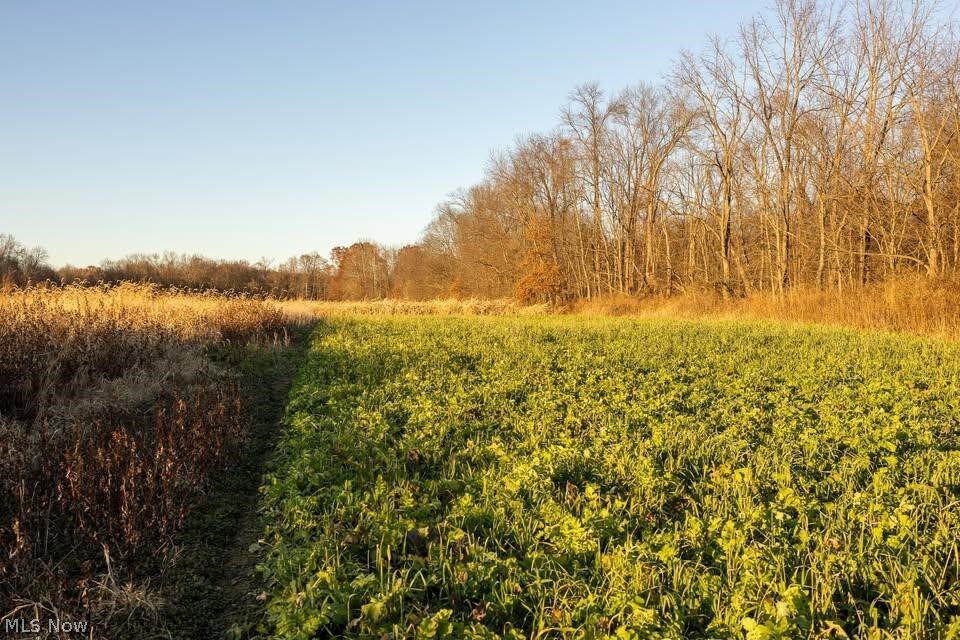 Lambert Property Photo 9