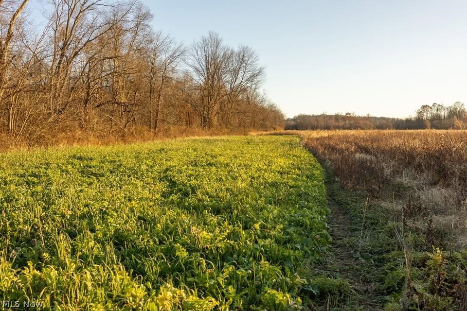 Lambert Property Photo 10