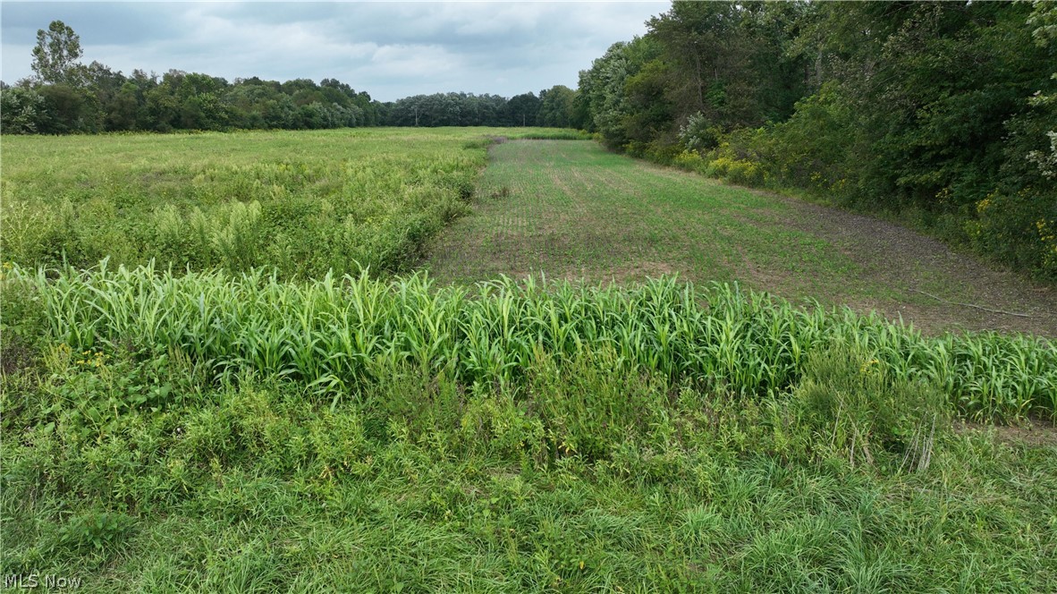 Lambert Property Photo 12