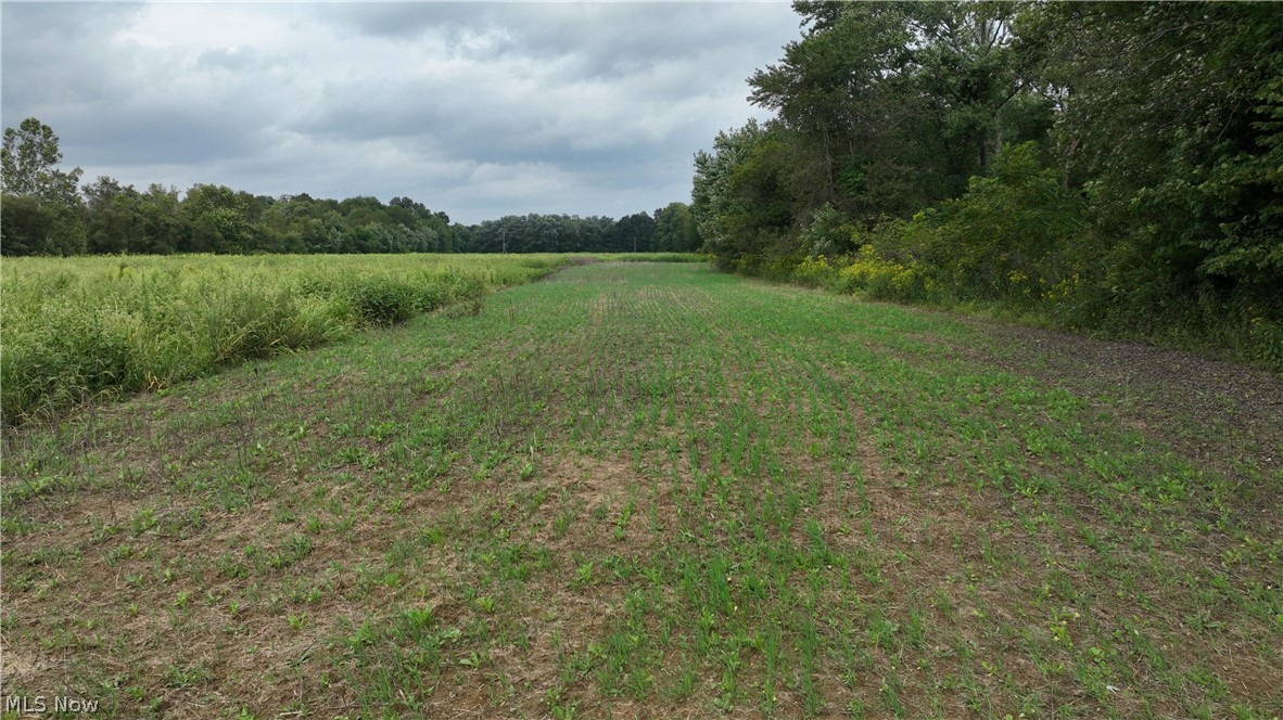 Lambert Property Photo 13
