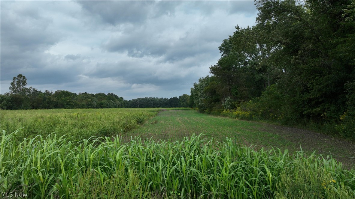 Lambert Property Photo 14