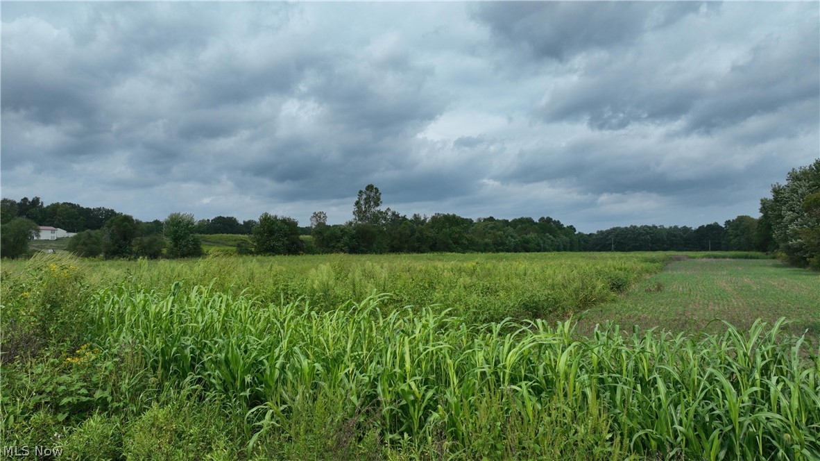 Lambert Property Photo 15