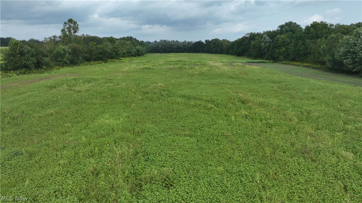 Lambert Property Photo 16