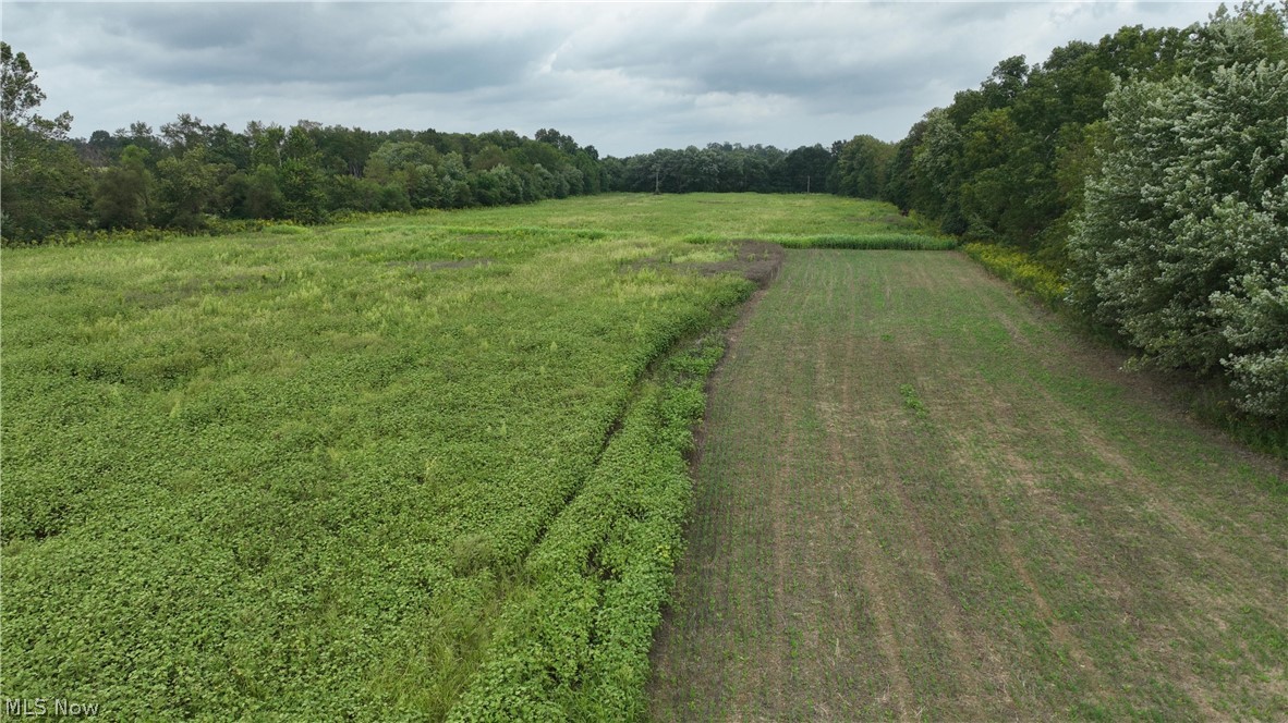 Lambert Property Photo 17