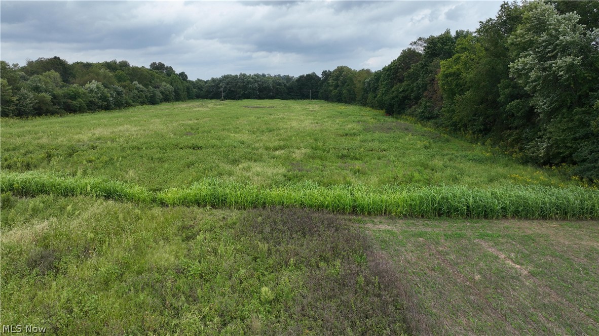 Lambert Property Photo 18