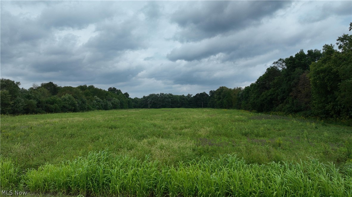 Lambert Property Photo 20