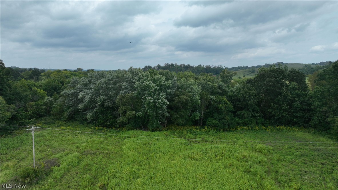 Lambert Property Photo 22