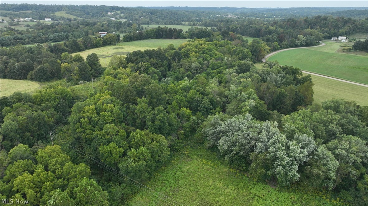 Lambert Property Photo 23