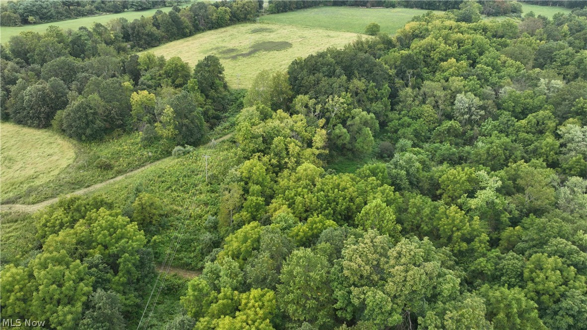 Lambert Property Photo 24