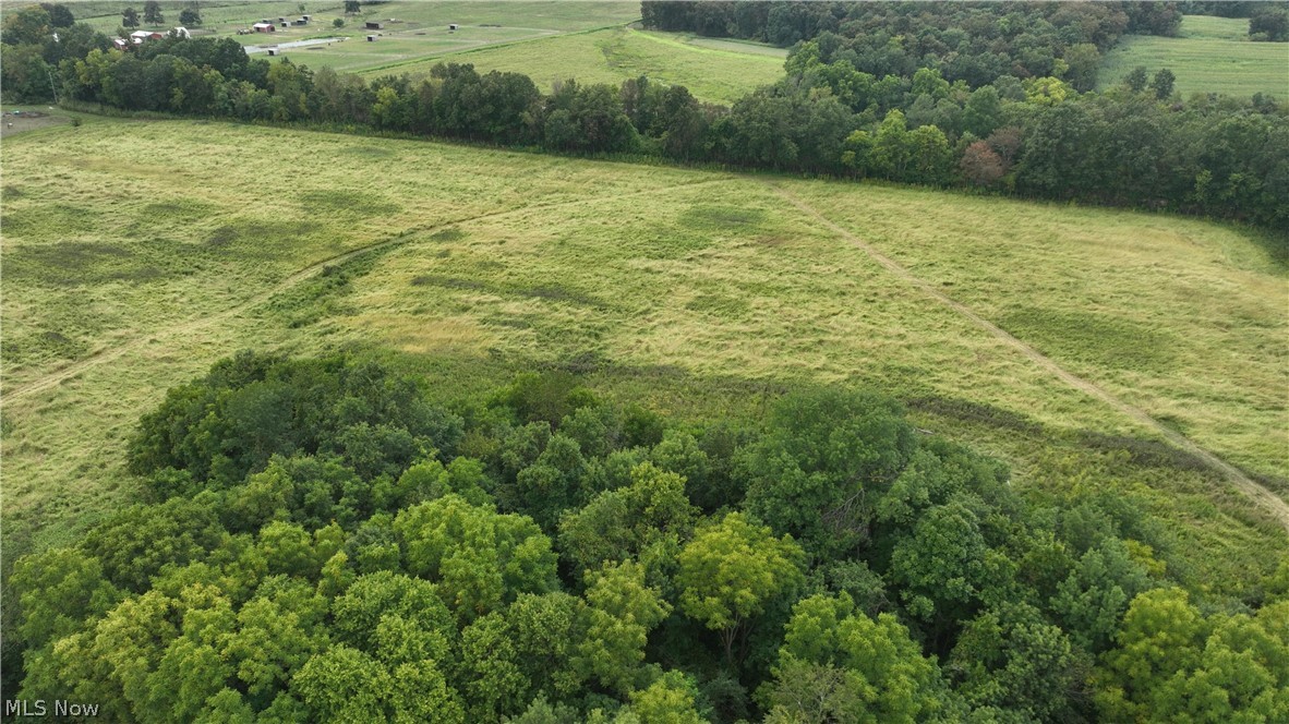 Lambert Property Photo 25