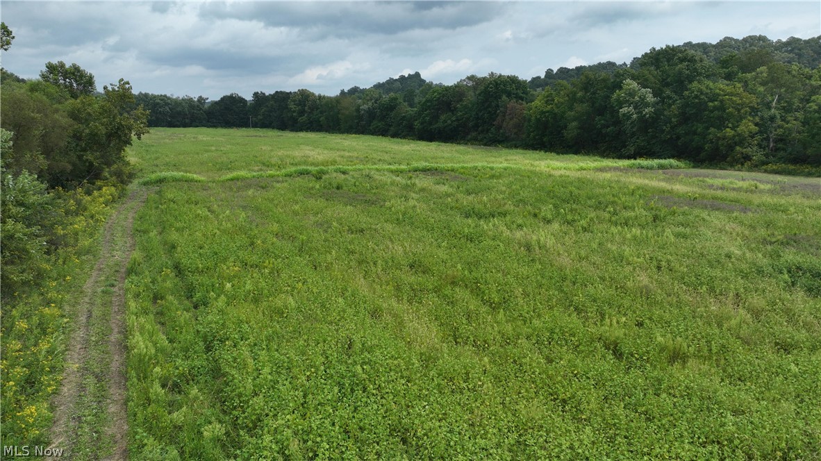 Lambert Property Photo 28