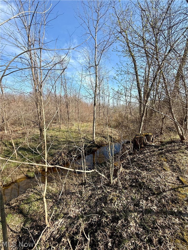 515 Middle Road Property Photo 7