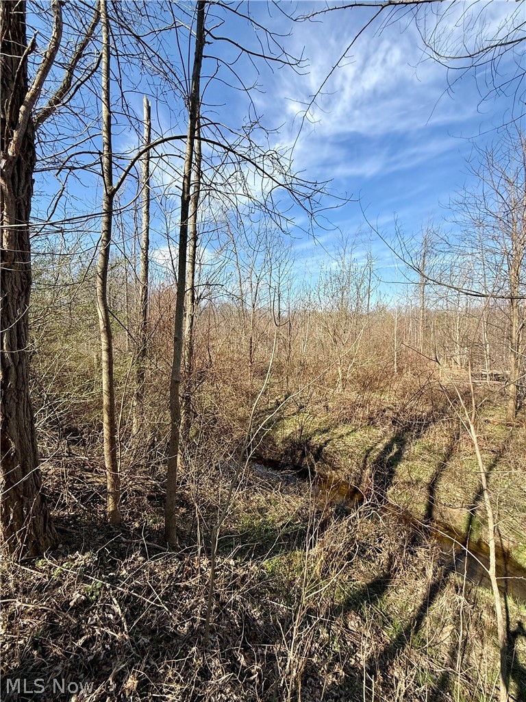 515 Middle Road Property Photo 9