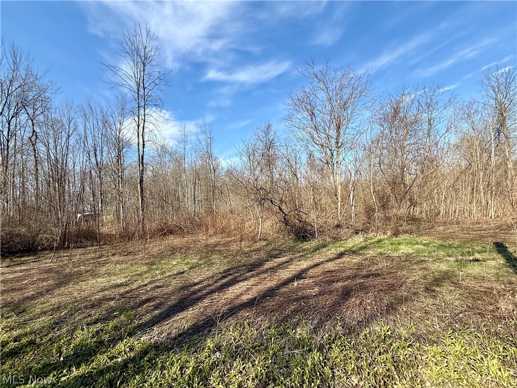 515 Middle Road Property Photo 10