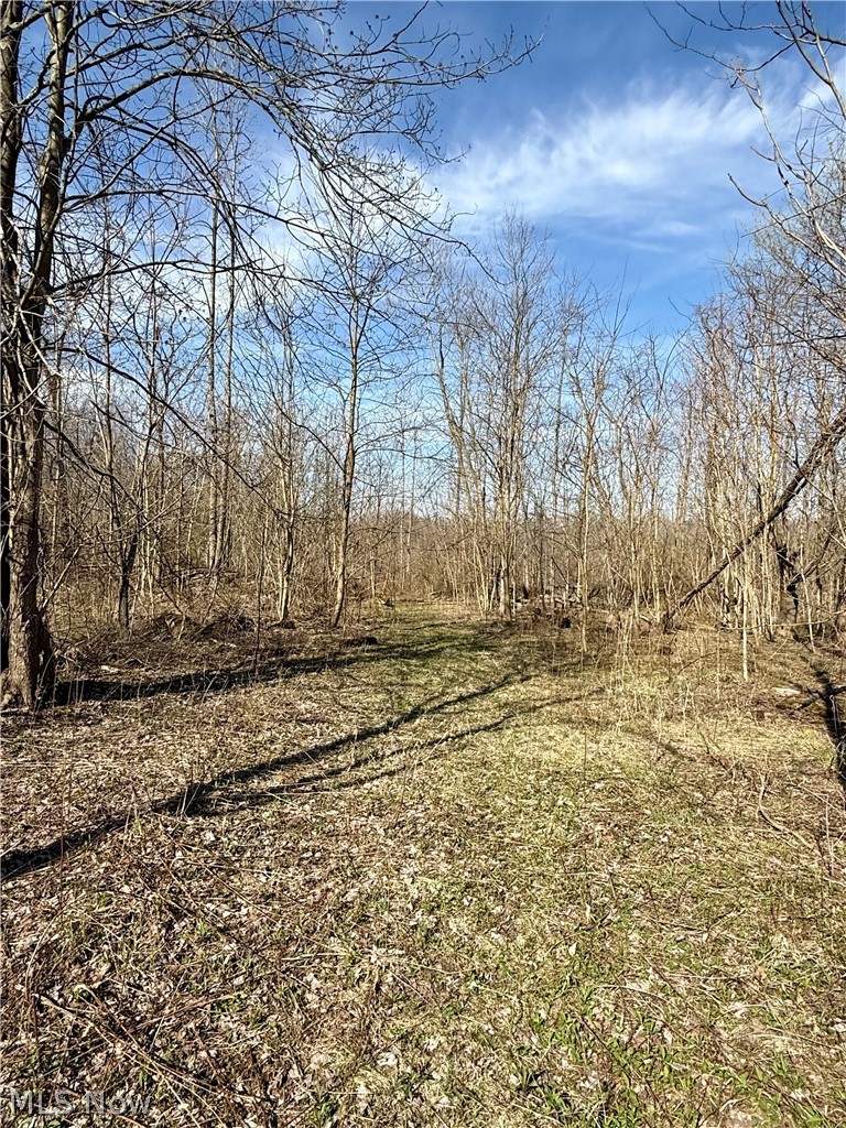 515 Middle Road Property Photo 11