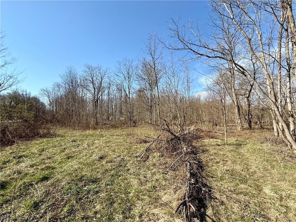 515 Middle Road Property Photo 12