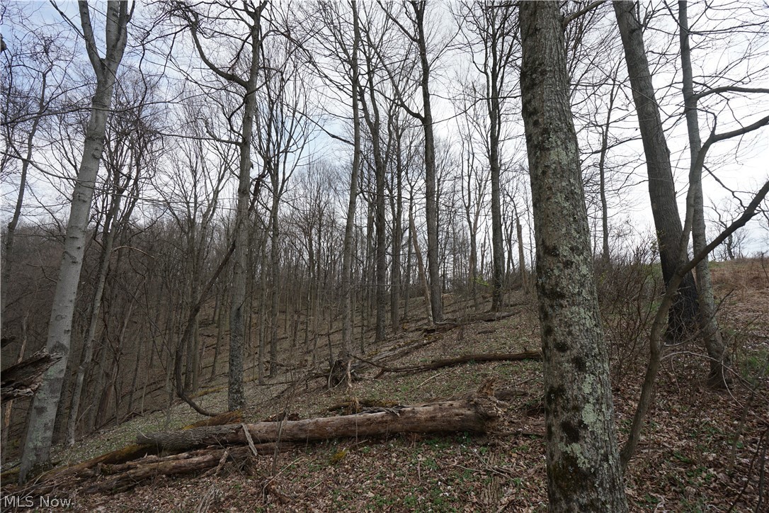 56835 Stephens Rd Property Photo 28