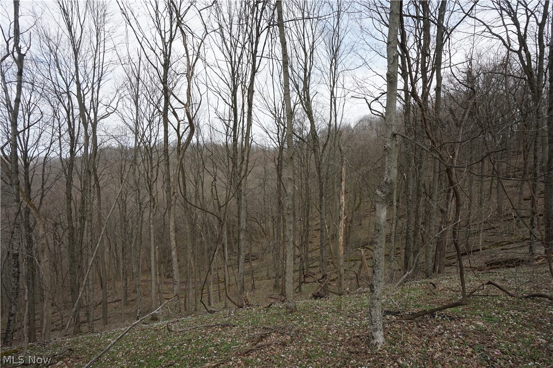 56835 Stephens Rd Property Photo 29