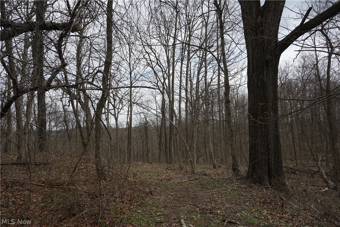 56835 Stephens Rd Property Photo 33