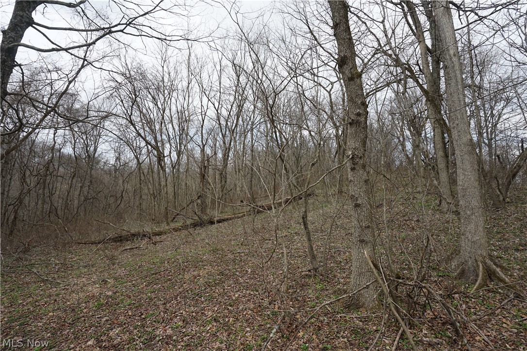 56835 Stephens Rd Property Photo 35