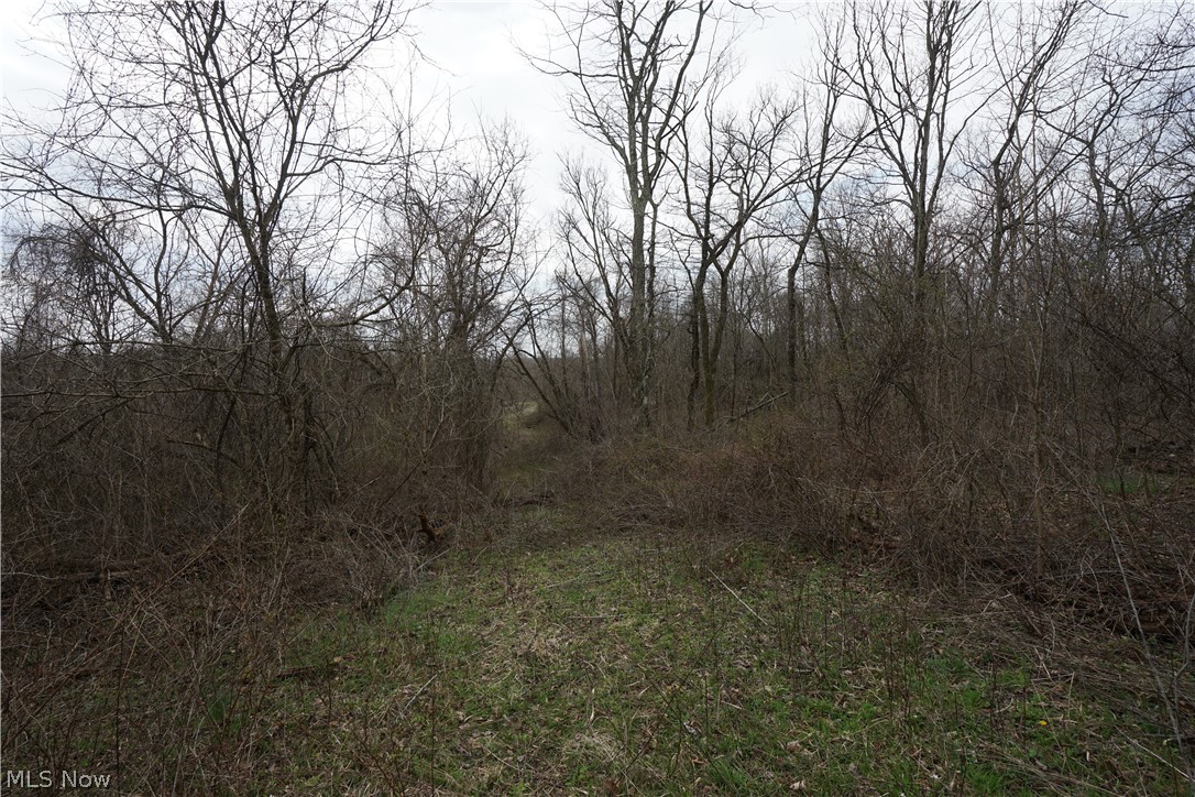56835 Stephens Rd Property Photo 45