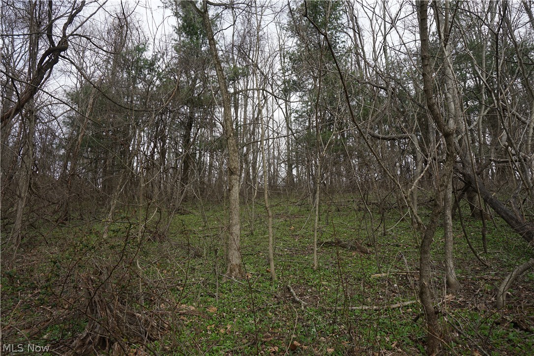 56835 Stephens Rd Property Photo 48
