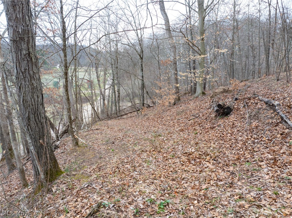 Sarchets Run Road Property Photo 12