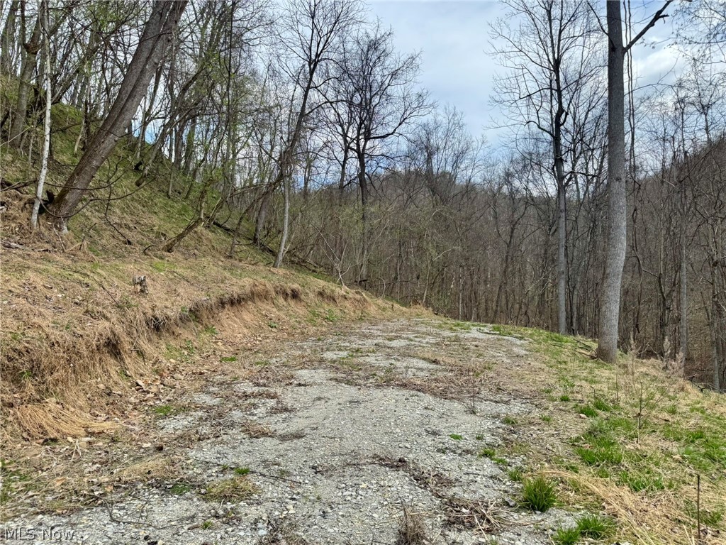 1536 Jakes Fork Road Property Photo 3