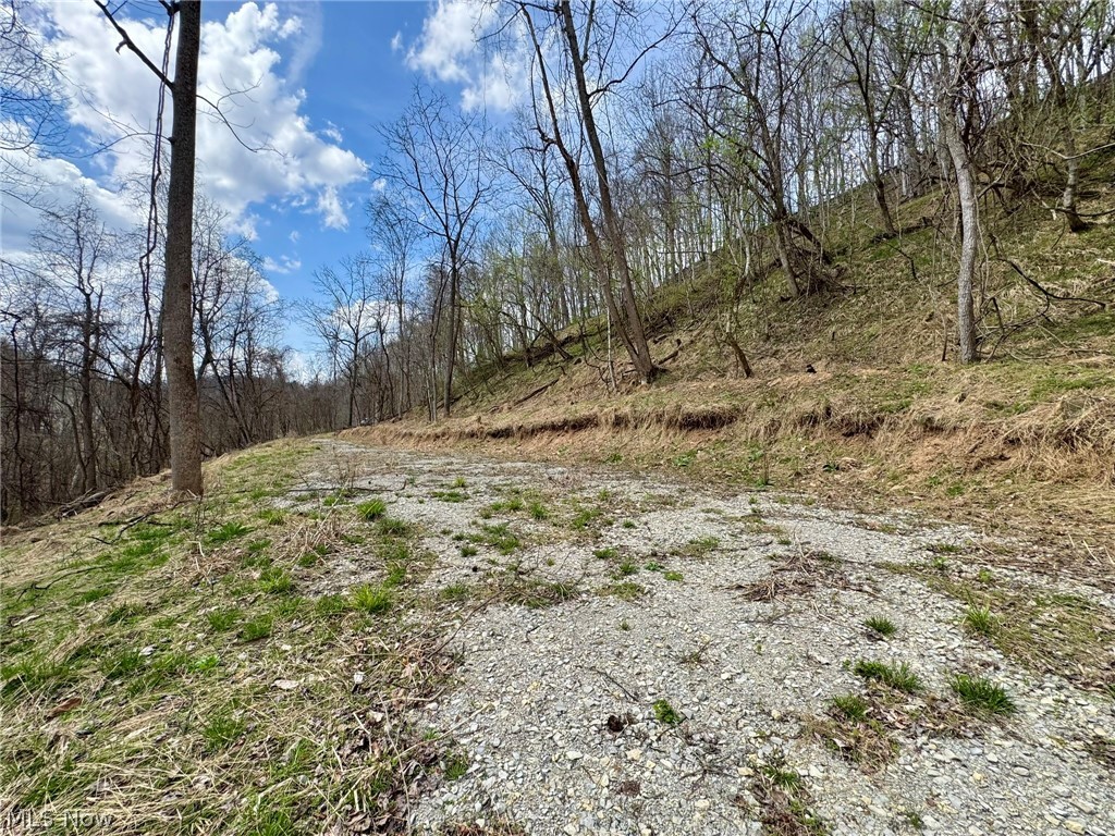 1536 Jakes Fork Road Property Photo 4