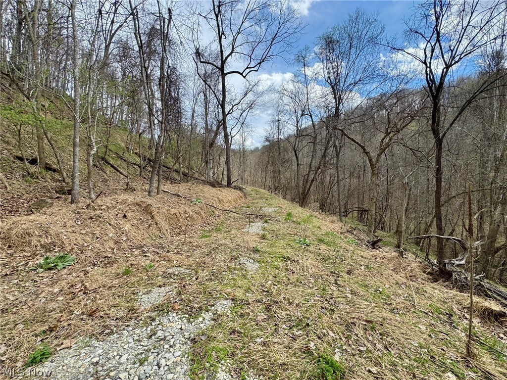 1536 Jakes Fork Road Property Photo 5