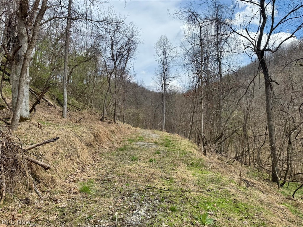 1536 Jakes Fork Road Property Photo 6