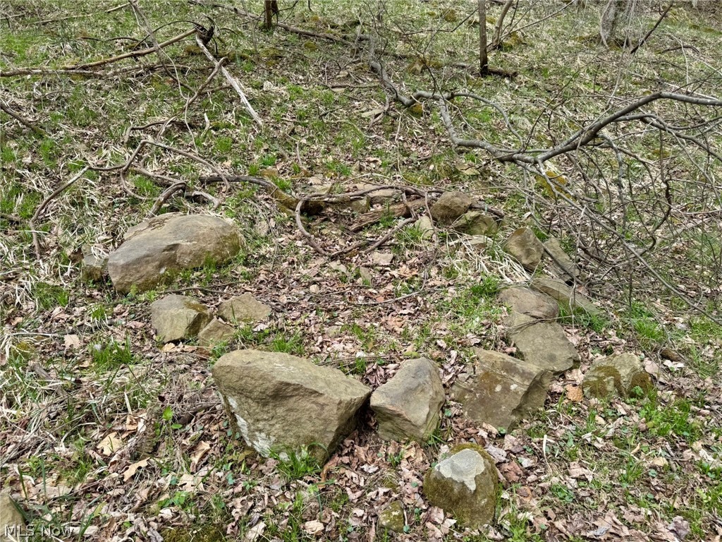 1536 Jakes Fork Road Property Photo 8