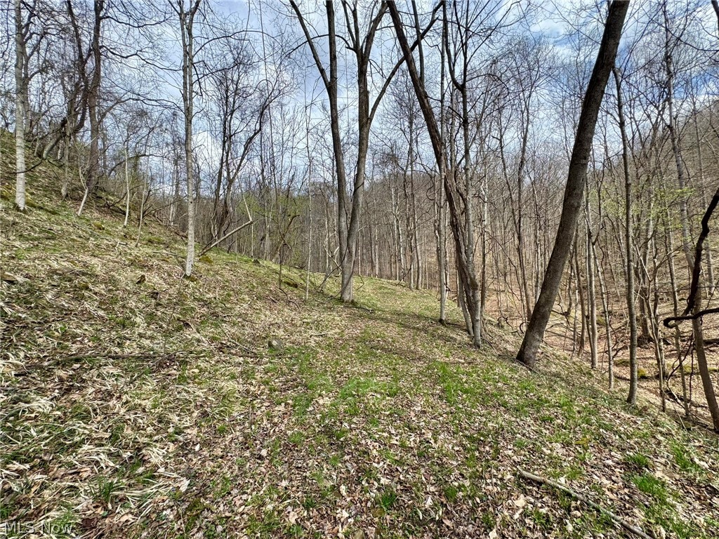 1536 Jakes Fork Road Property Photo 9