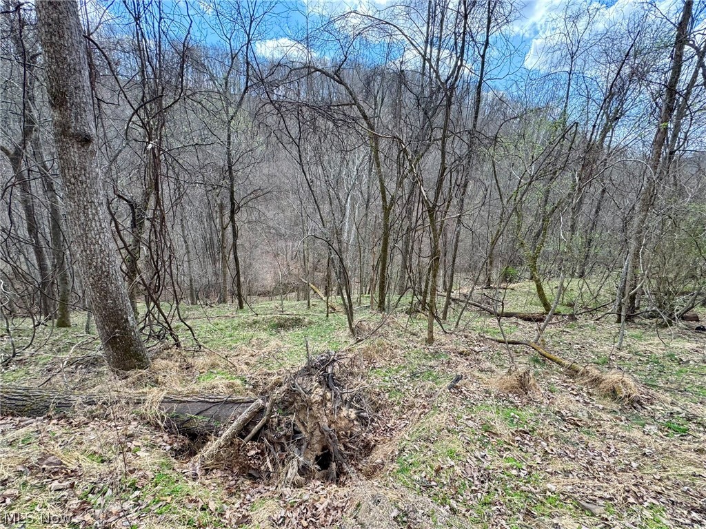 1536 Jakes Fork Road Property Photo 10