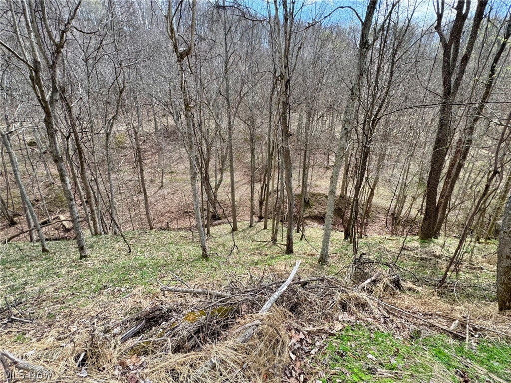 1536 Jakes Fork Road Property Photo 11