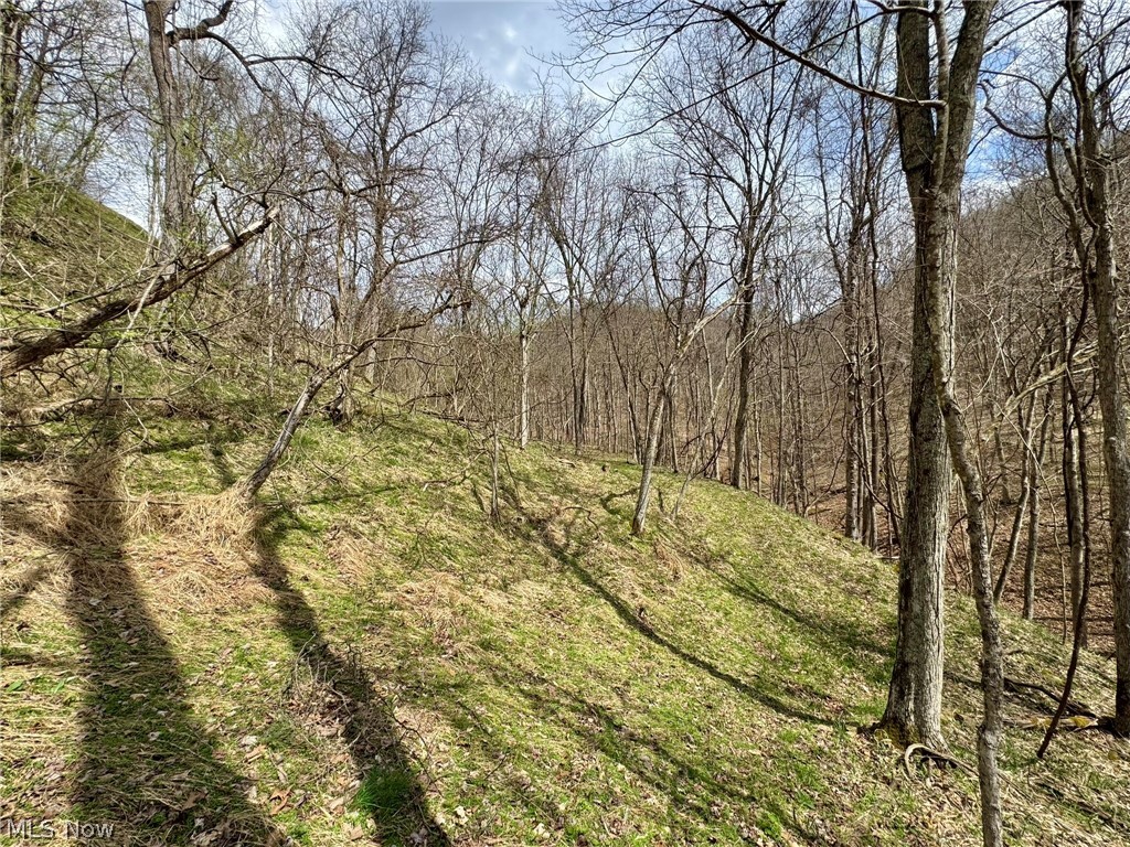 1536 Jakes Fork Road Property Photo 12