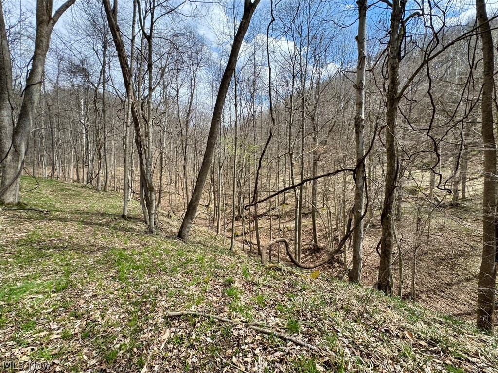 1536 Jakes Fork Road Property Photo 13