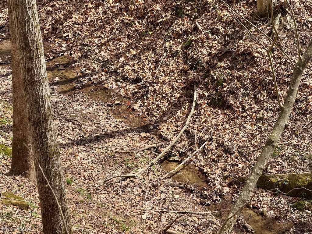1536 Jakes Fork Road Property Photo 14