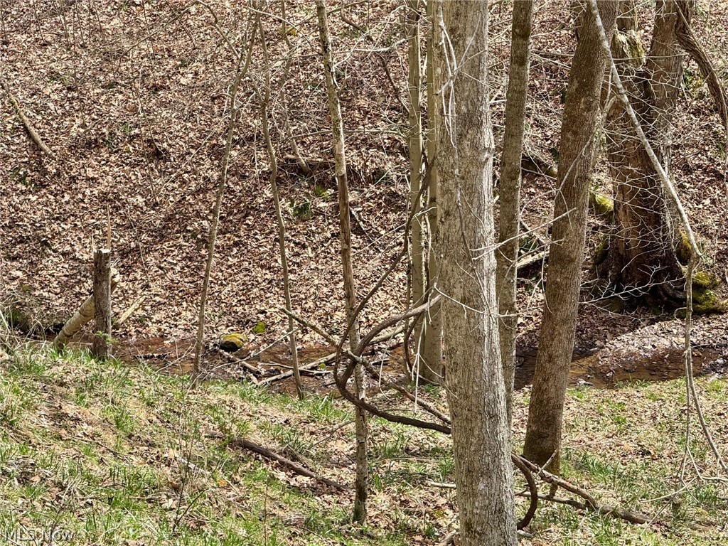 1536 Jakes Fork Road Property Photo 15
