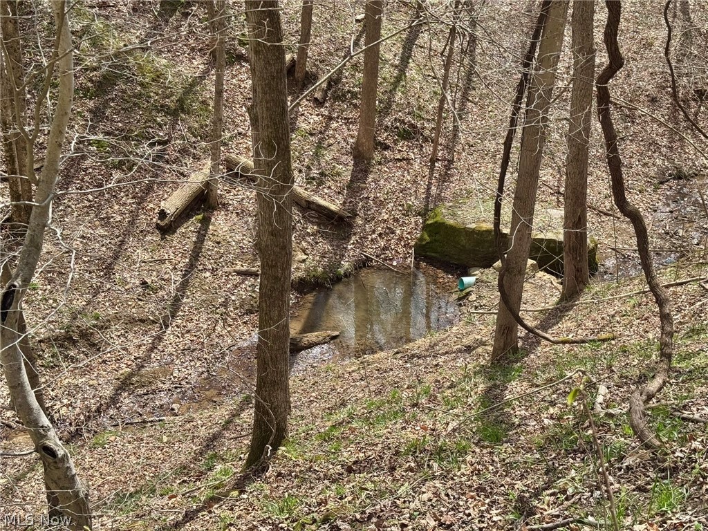 1536 Jakes Fork Road Property Photo 16