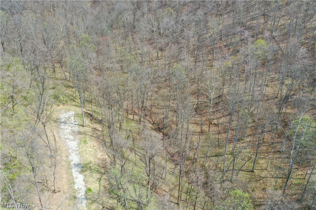 1536 Jakes Fork Road Property Photo 18